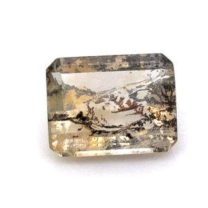 Dentritic Quartz E/C 9.1x7.1mm