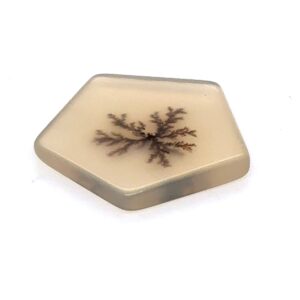 Dentritic Quartz 12.9x13.3mm